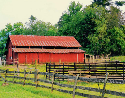 American Suite Poster Print by Gail Peck - Item # VARPDX10972D