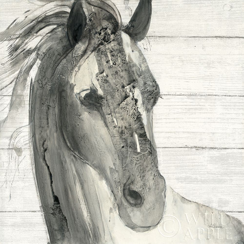 In the Wind I Shiplap Poster Print by Albena Hristova - Item # VARPDX38818