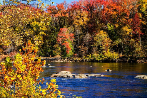 Autumn by the River I Poster Print by Alan Hausenflock - Item # VARPDXPSHSF2304