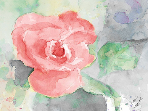 Pink Flower Poster Print by Lanie Loreth - Item # VARPDX12398C