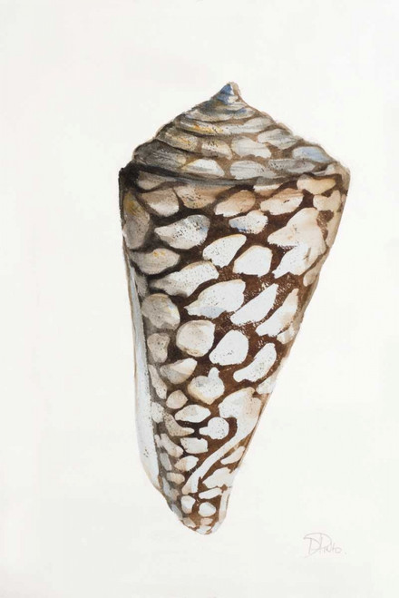 Bohemian Nature II Poster Print by Pela - Item # VARPDX11496