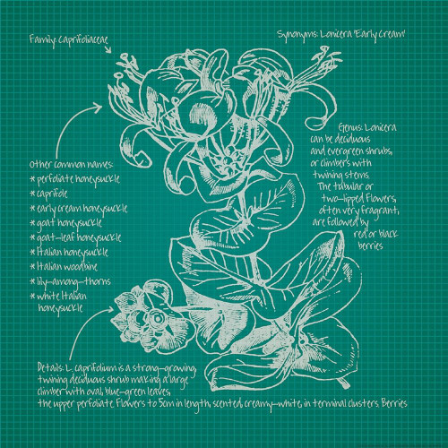 Blueprints 6 Poster Print by Inc. Nobleworks - Item # VARPDXNOB119