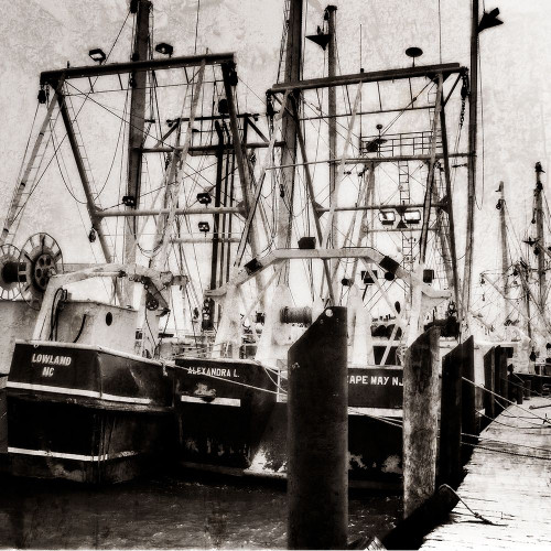 Cape May Fleet II Poster Print by Alan Hausenflock - Item # VARPDXPSHSF2249