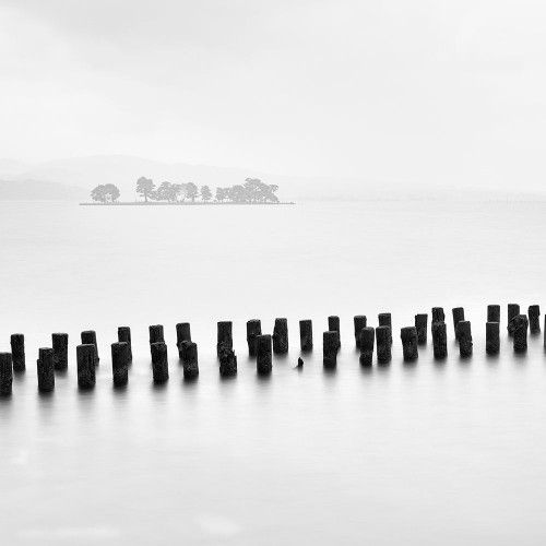 Island and Tree Poster Print by Praxis Studio
