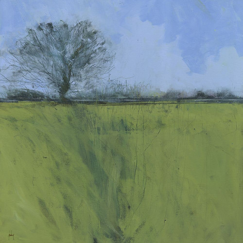 Fenland Morning Poster Print by Paul Bailey - Item # VARPDXB3592D