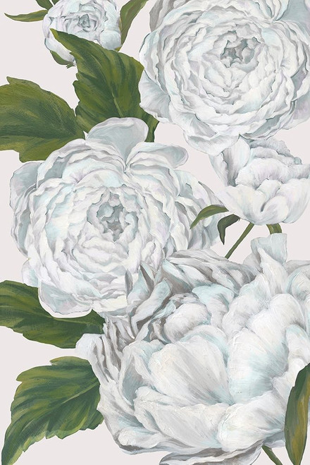 Grey Peony II Poster Print by Eva Watts - Item # VARPDXEW150A
