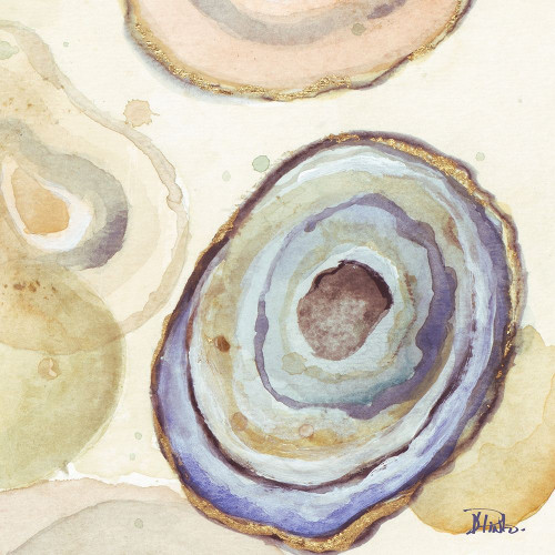 Agates Flying Square II Poster Print by Patricia Pinto - Item # VARPDX11987D