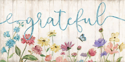 Grateful Wildflowers Poster Print by Nan - Item # VARPDX40098