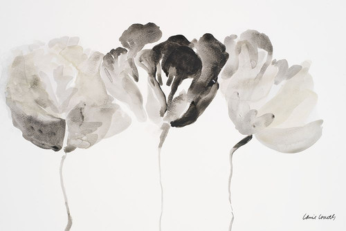 Trio in Light Poster Print by Lanie Loreth