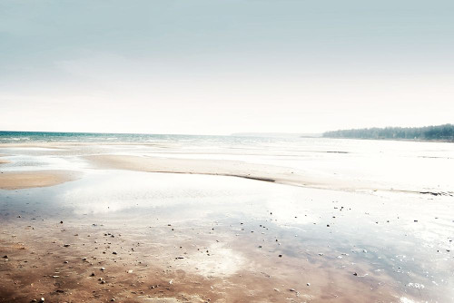 After Storm Poster Print by Kali Wilson - Item # VARPDX12731HP