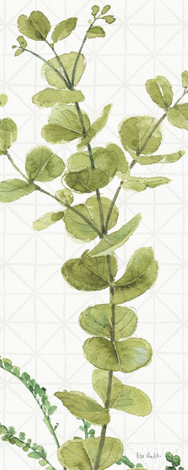 Mixed Greens LX Poster Print by Lisa Audit - Item # VARPDX36537