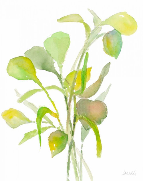 Seagrasses and Eelgrasses I Poster Print by Lanie Loreth - Item # VARPDX12185