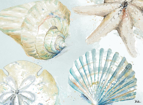 Shell Collectors Poster Print by Patricia Pinto - Item # VARPDX12434D