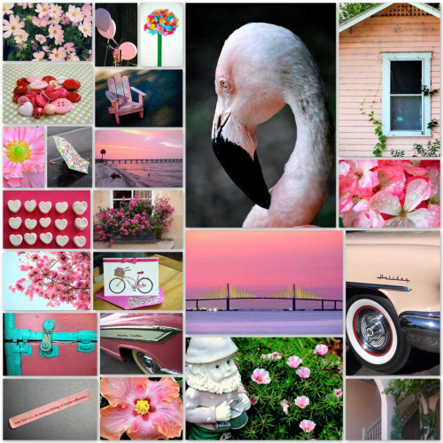 Pink Flamingo Collage Poster Print by Gail Peck - Item # VARPDX11105T