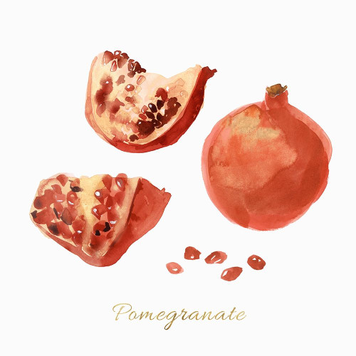 Pomegranate Poster Print by Isabelle Z - Item # VARPDXEZ244A