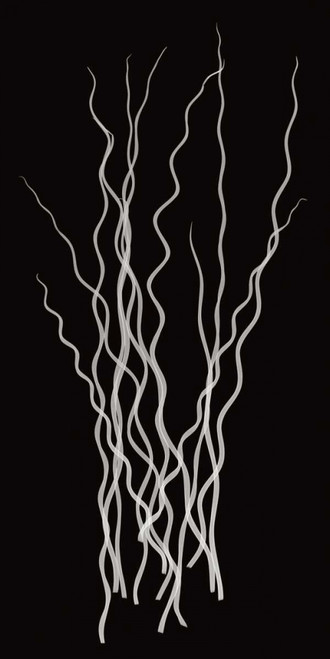 Three Rushes Poster Print by Jim Wehtje - Item # VARPDX12291A