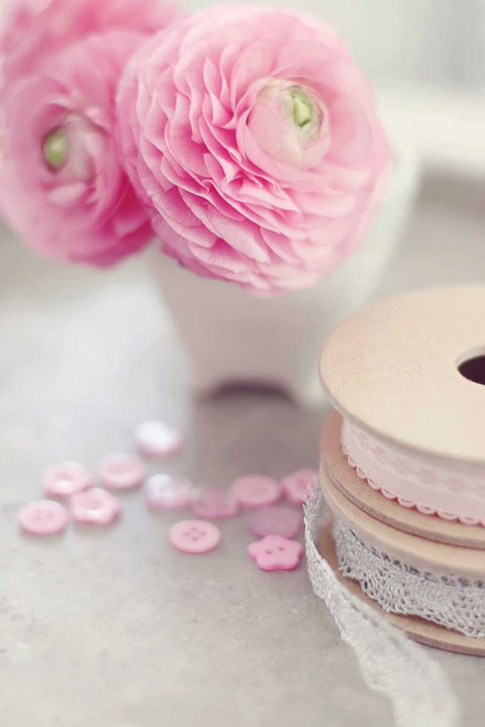 Softy Elegant I Poster Print by Sarah Gardner - Item # VARPDX10791