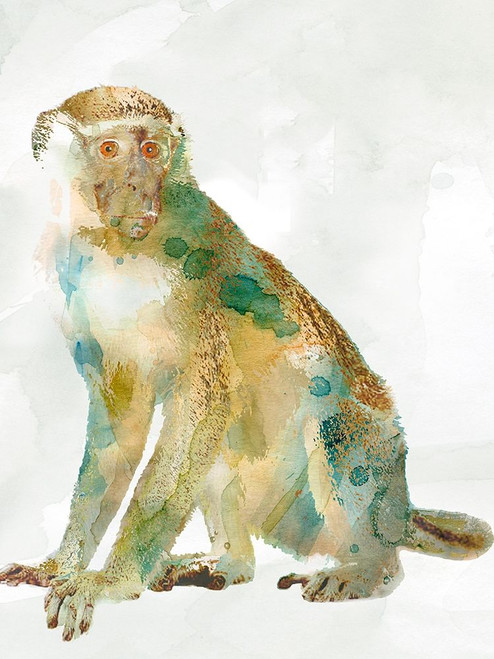 African Colors Monkey Poster Print by Carol Robinson - Item # VARPDX40408