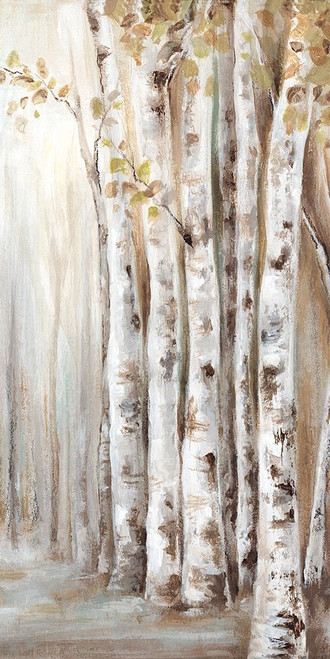 Sunset Birch Forest II Poster Print by Eva Watts - Item # VARPDXEW194A