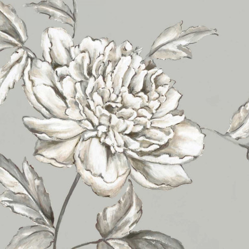 Botanical II Poster Print by Eva Watts - Item # VARPDXEW025A