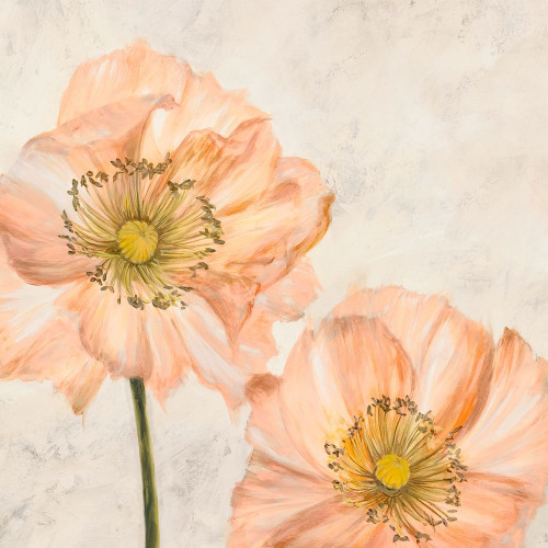 Poppies in Pink I Poster Print by Villa Luca - Item # VARPDX1LC4510