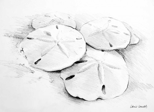 Sand Dollar I Poster Print by Lanie Loreth - Item # VARPDX10986
