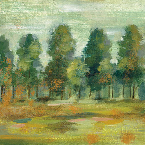 Forest II Poster Print by Silvia Vassileva - Item # VARPDX42189