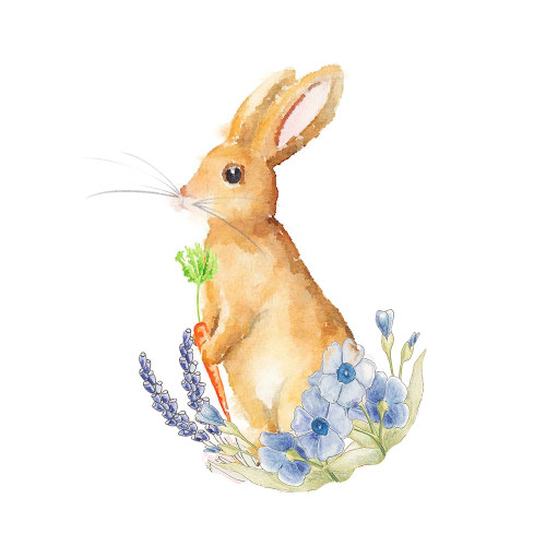 Spring Bunny I Poster Print by Andi Metz - Item # VARPDX12903F