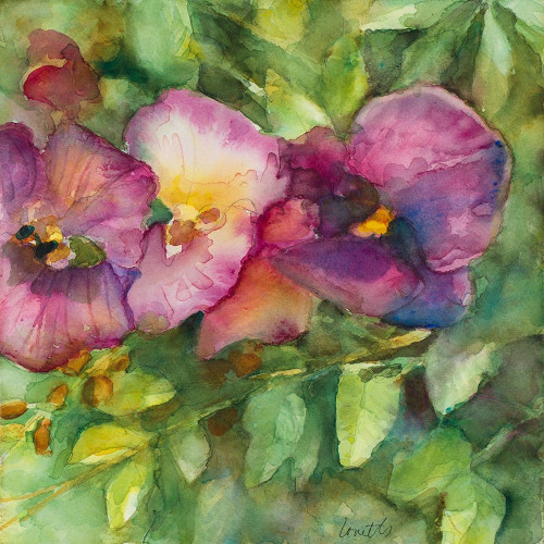 Orchid Garden Poster Print by Lanie Loreth - Item # VARPDX12404