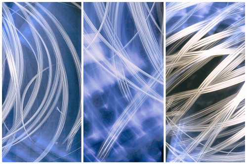 Flourish Poster Print by Norm Stelfox - Item # VARPDXNR506A