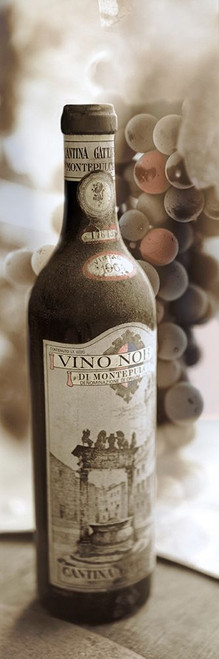 Montepulciano Vineyard #1 Poster Print by Alan Blaustein - Item # VARPDXB3652D