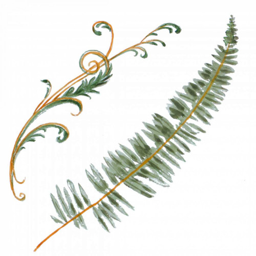 Floral I Poster Print by Linda Baliko - Item # VARPDX11185J