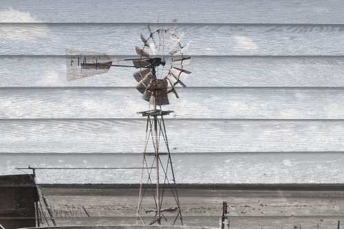 Rusted Windmill on Wood Poster Print by Anna Coppel - Item # VARPDX11537T