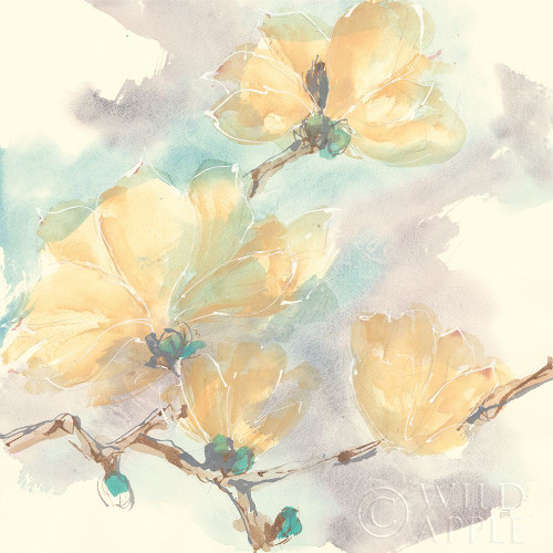 Magnolias in White II Poster Print by Chris Paschke - Item # VARPDX45477