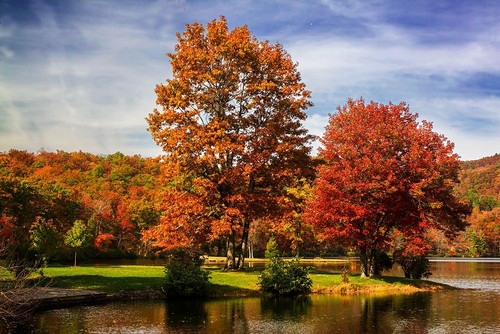 Autumn by the River II Poster Print by Alan Hausenflock - Item # VARPDXPSHSF2305