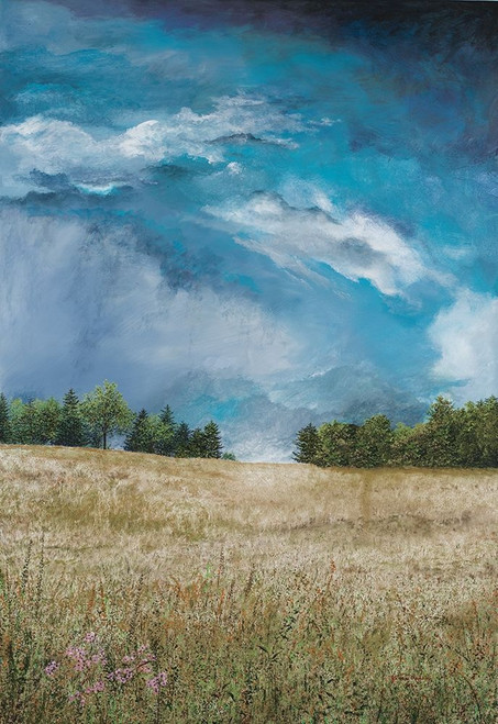 Approaching Storm Poster Print by James Redding - Item # VARPDX12766AD