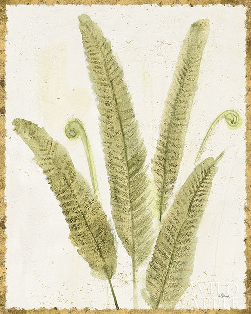 Forest Ferns II v2 Antique Poster Print by Albena Hristova - Item # VARPDX38519