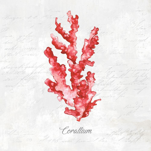 Red Sea Coral Poster Print by Eva Watts - Item # VARPDXEW135A