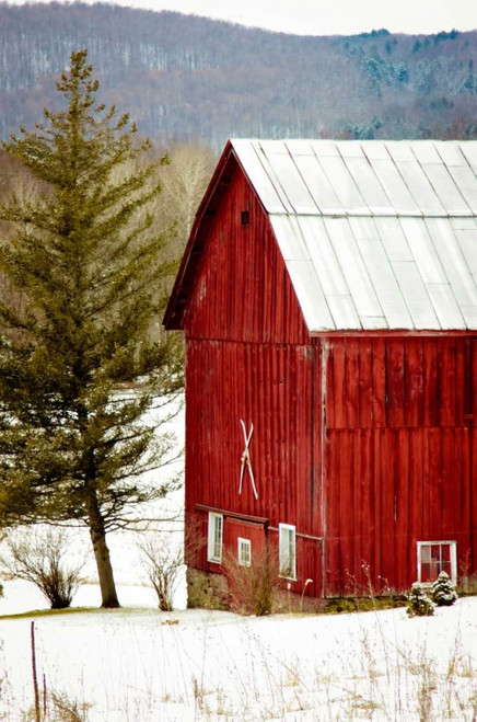 Red Barn House Poster Print by Kelly Poynter - Item # VARPDX10489P