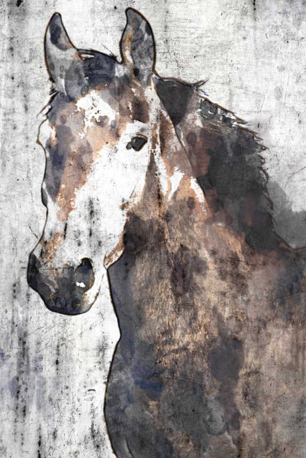 Horse Portrait II Poster Print by Irena Orlov - Item # VARPDXOR321A