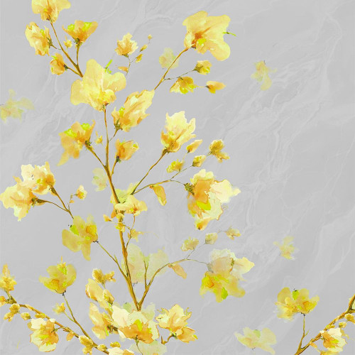 Early Yellow Bloom Poster Print by Diannart - Item # VARPDX13501C