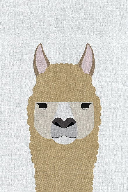 Alpaca Poster Print by Annie Bailey Art - Item # VARPDXA513D