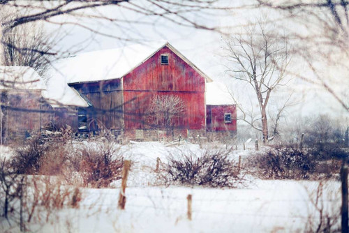 Winter Barn Poster Print by Kelly Poynter