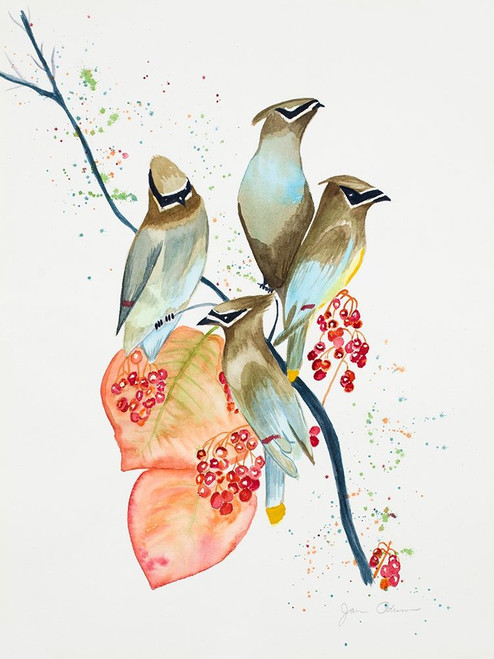 Birds on Branch Poster Print by Jan Odum - Item # VARPDX13550B