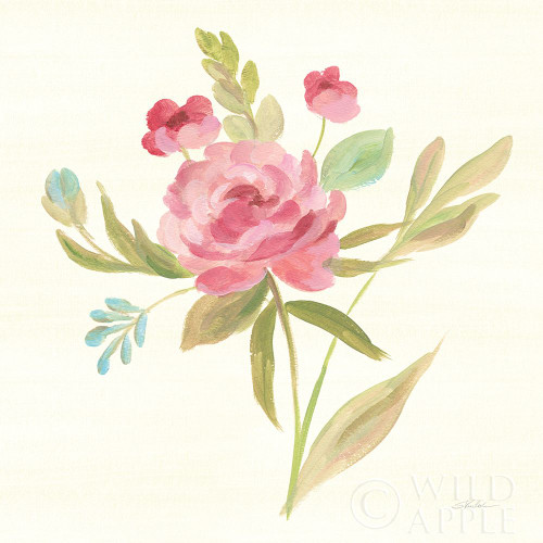 Petals and Blossoms V Poster Print by Silvia Vassileva - Item # VARPDX46117