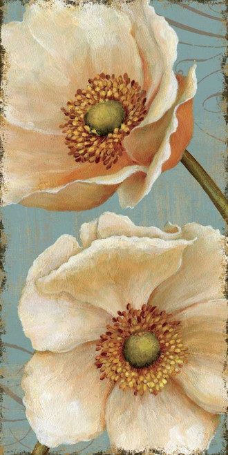 Windflower I Poster Print by Daphne Brissonnet - Item # VARPDX1206