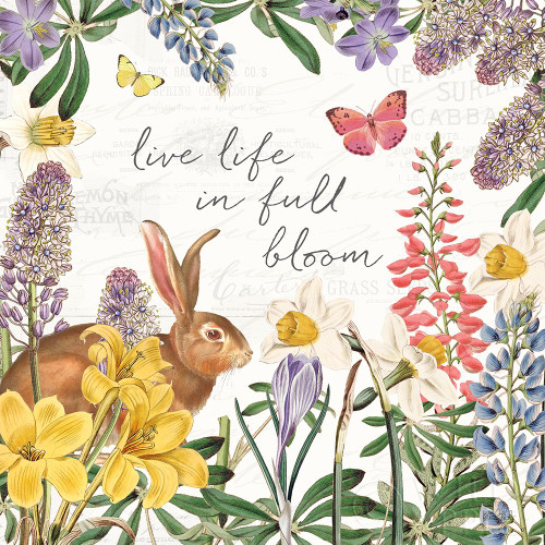 Easter Garden II Poster Print by Katie Pertiet - Item # VARPDX46857