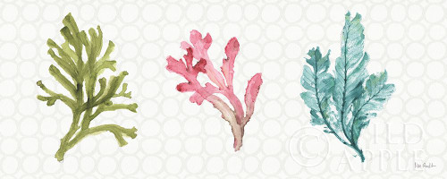 Mixed Greens XXXII Poster Print by Lisa Audit - Item # VARPDX36490