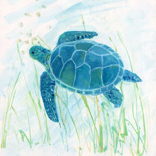 Reef Turtle II Poster Print by Sally Swatland - Item # VARPDX40118