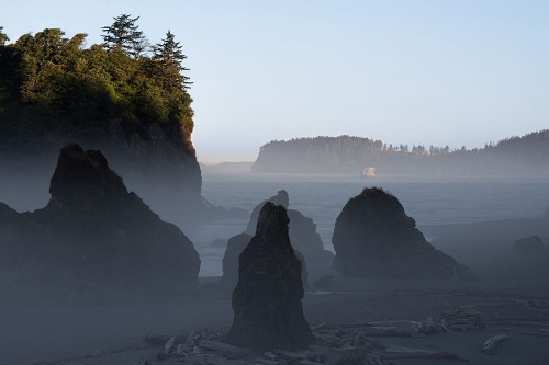 Ruby Beach Morning III Poster Print by Stan Hellmann - Item # VARPDXPSHEL166